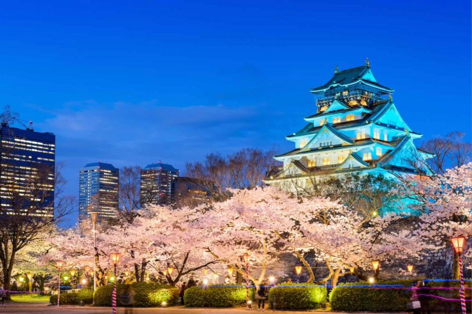 8D5N JAPAN SAKURA + SHIRAKAWAGO (EX KUL) (E)