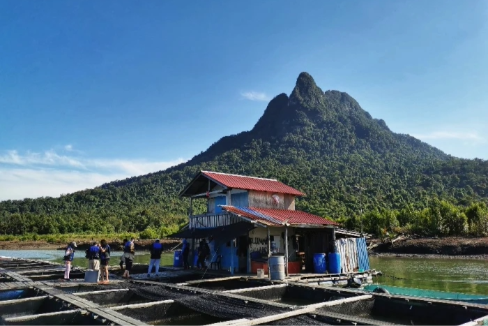 SANTUBONG WILDLIFE CRUISE