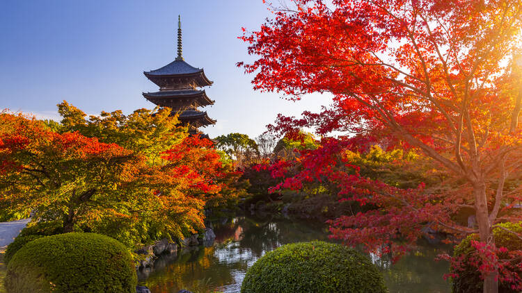 8D5N JAPAN ALPINE AUTUMN DELIGHT @ MAPLE SEASON (EX KUL) (E)